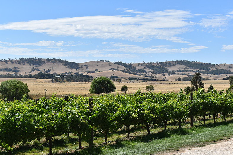 Macedon Ranges winery
